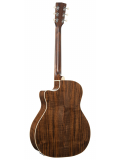 Exotic-GA Walnut (Sunburst), зображення 2